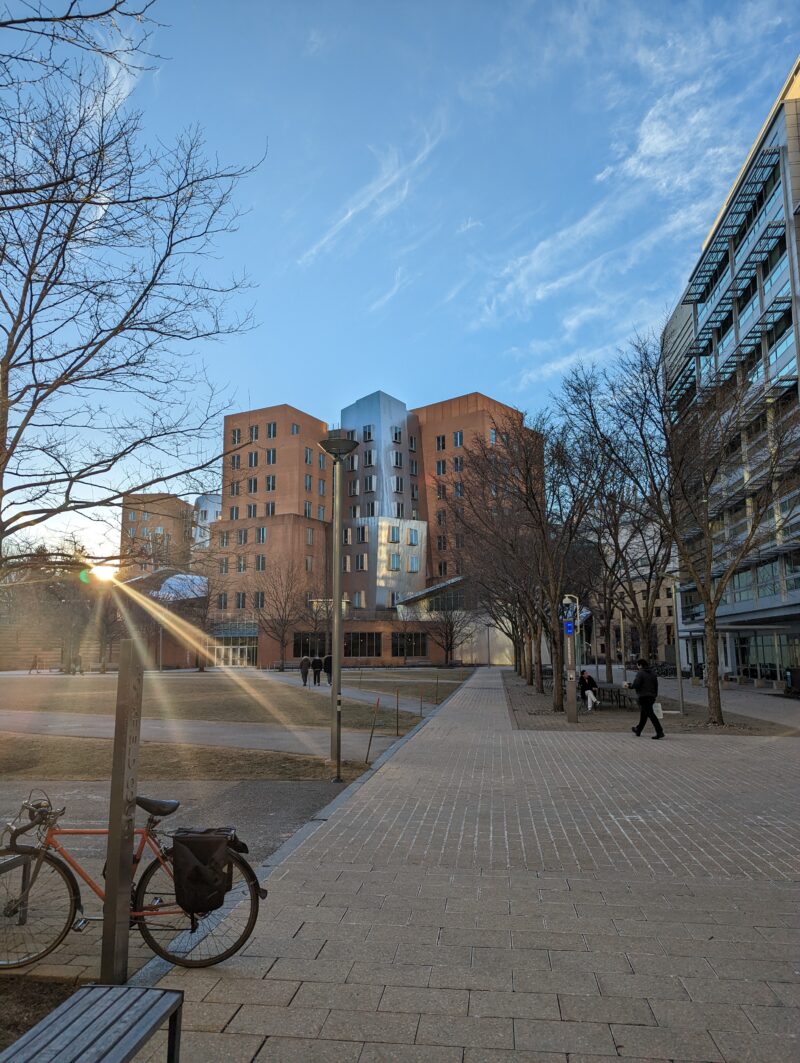 stata at sunset