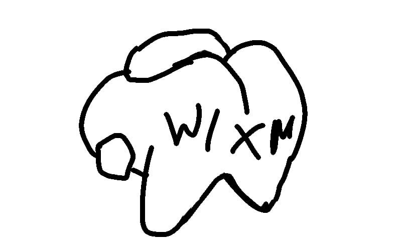 w1xm written on the butt of an amogus