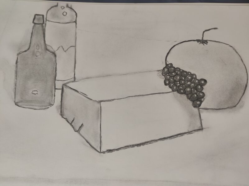 drawing of fruits