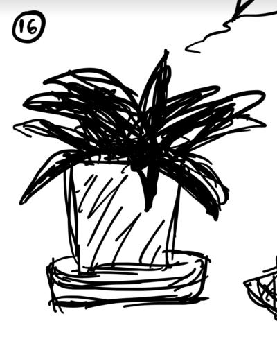 drawing of plant
