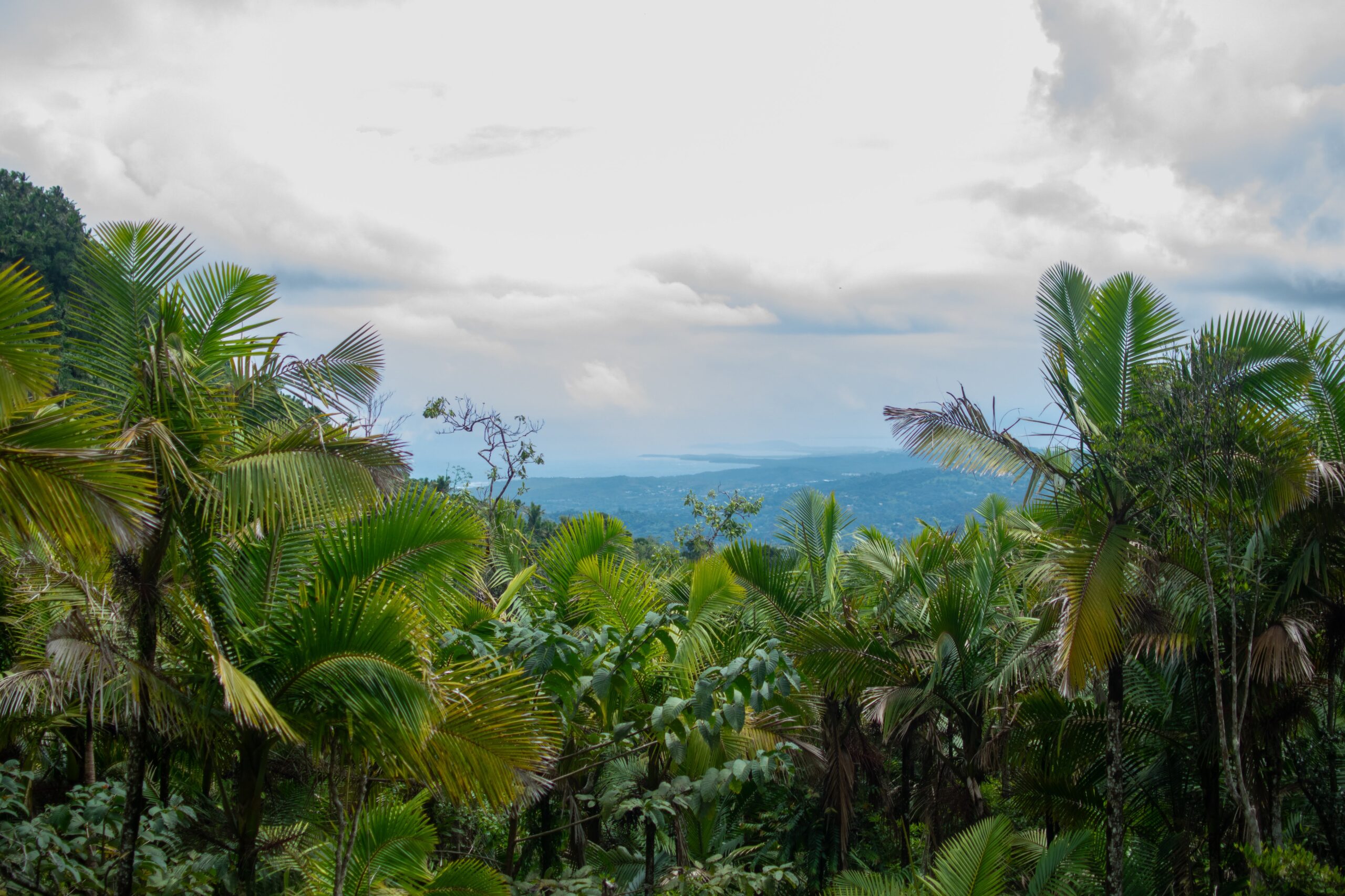 el yunque view
