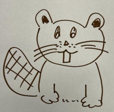 A drawing of Tim beaver in brown marker, sitting with only his front paws visible.