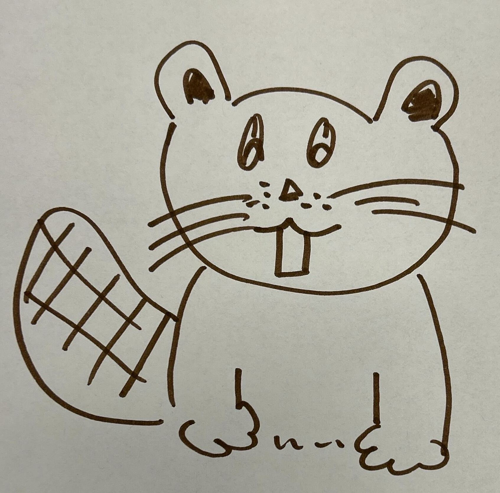 Tim Drawing From Mit DRAW TIM (the beaver) | MIT Admissions