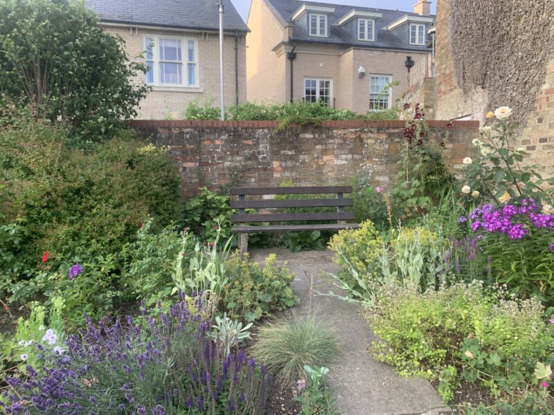 a bench surrounded by flowers and bushes