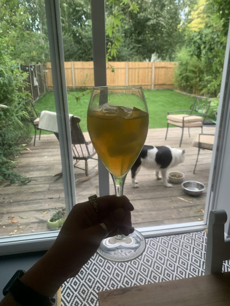 a glass of orange juice mixed with kombucha, posed in front of a green back yard