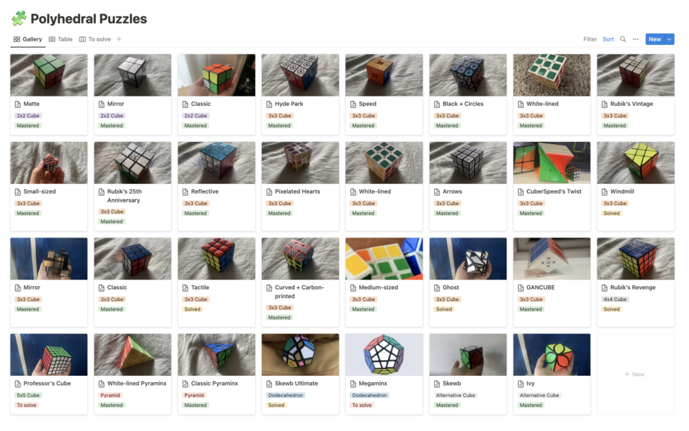 database showing a collection of 31 polyhedral puzzles