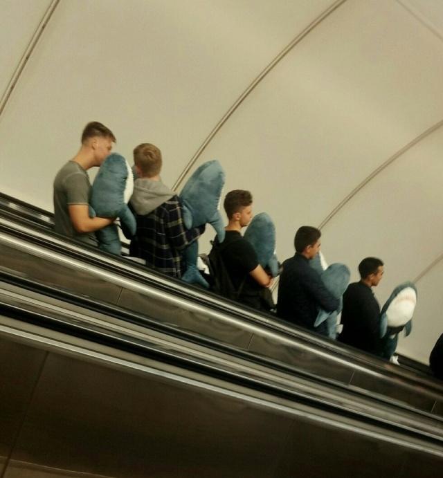 five men holding blahaj's down an escalator
