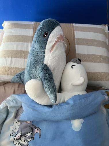 a shark blanket for sharks : r/BLAHAJ