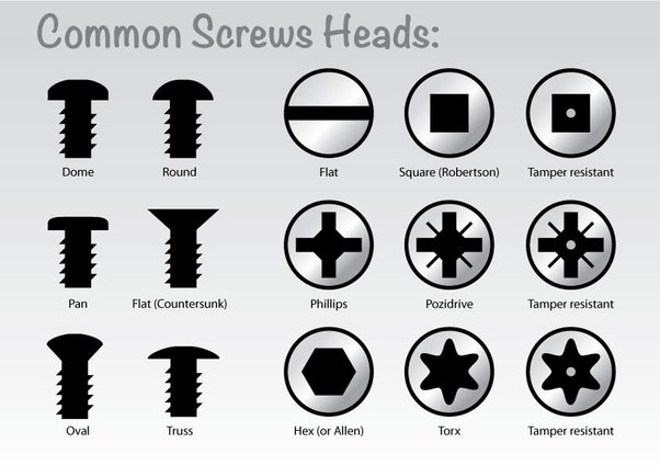 different kinds of screwheads: flat, square, phillips, security, torx
