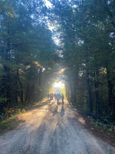 sunlight through teh trail