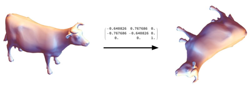 Rotating a cow with a matrix