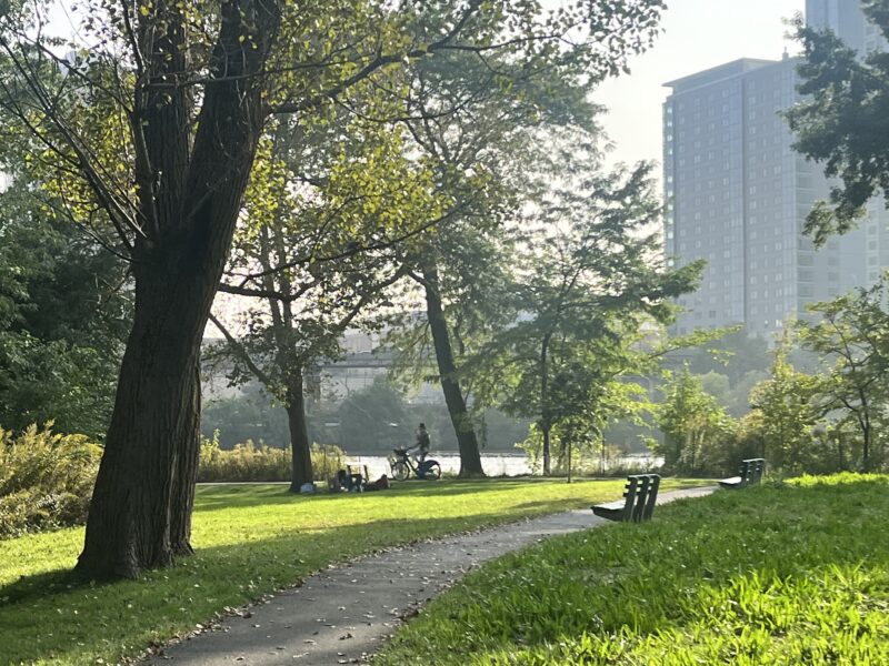 A picture of a sunny park in the early afternoon, with a trail, benches, and the Charles River in the background.