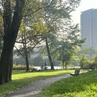 A picture of a sunny park in the early afternoon, with a trail, benches, and…