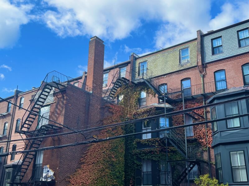 colorful ivy growing on brownstone building under a blue sky