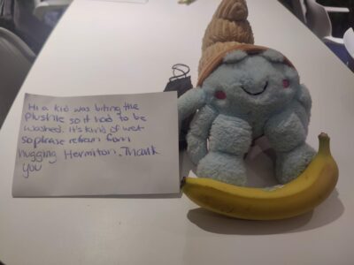 a cute note about a hermit crab plushie that a child sucks on it and it had to be cleaned