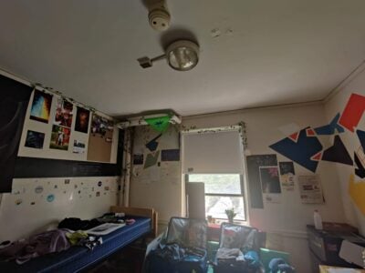 some of my room decor, mostly packed