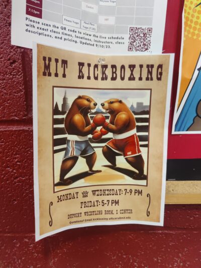 mit kickboxing poster featuring beavers with boxing gloves