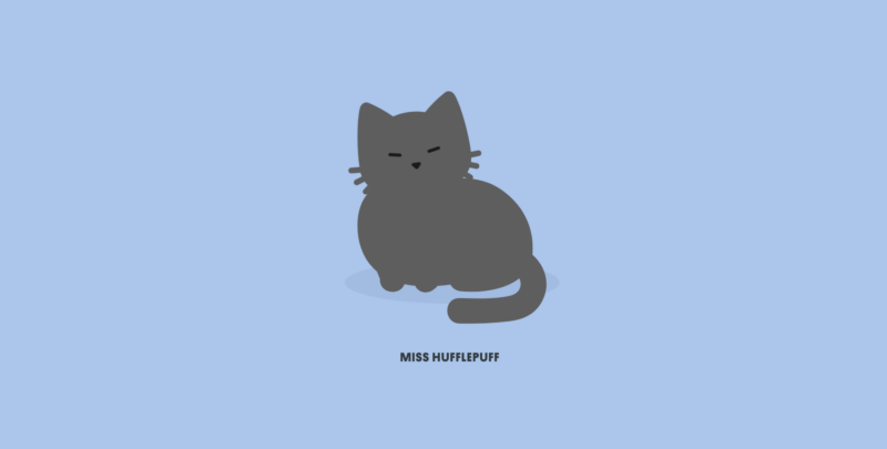 light blue background with black cat named