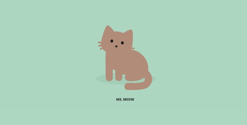 mint green background with gray cat named