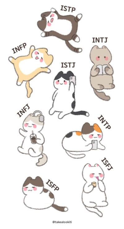 cute personality type cats