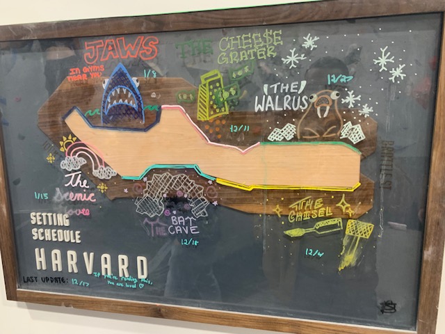 This is literally the only other photo i took at the rock climbing place. I don't know what I was thinking. It was really fun, though.