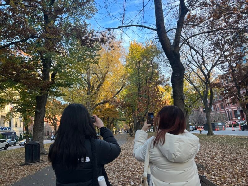 picture of two girls facing away from the camera, taking pictures with their phones. in the background is a path covered with fallen leaves, with large yellow and green trees lining the path.