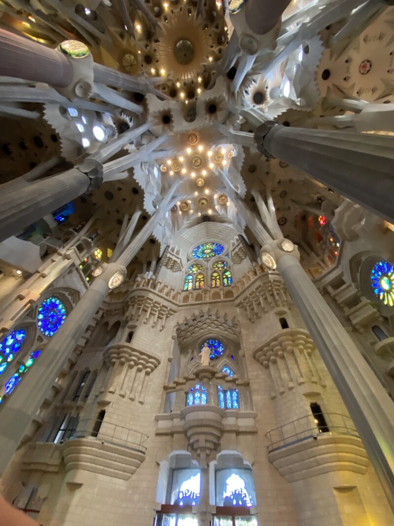 ornate stone ceiling of a cathedral