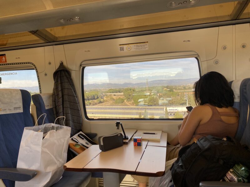 woman sitting on a train