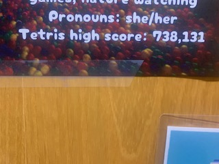 This is my GRA's Tetris high Score. One day I will beat it. - 748,131