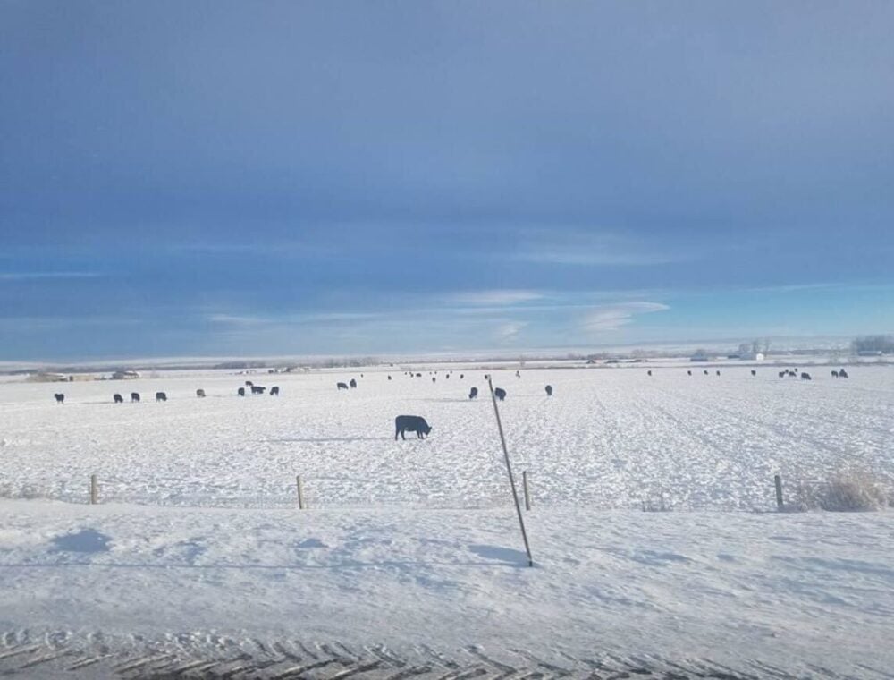 Winter in Wyoming