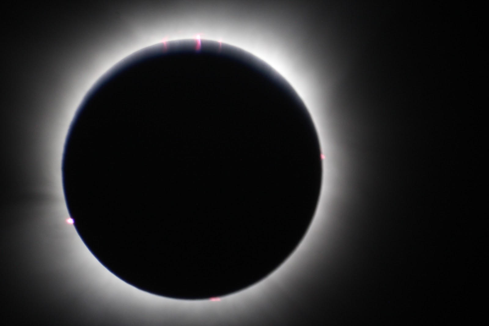 another cool picture of eclipse with corona and sun activity visible