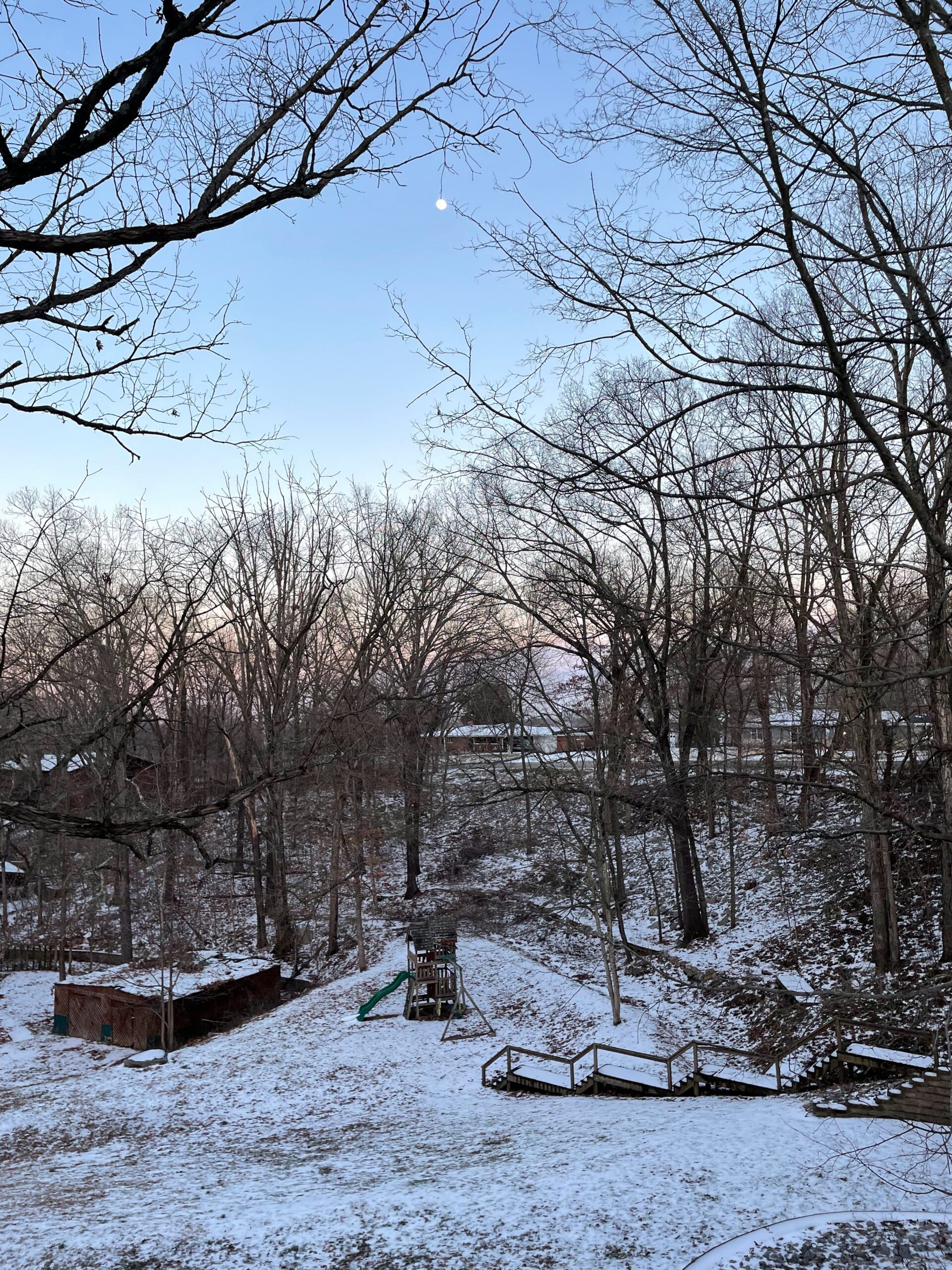 Snowy forest in Missouri