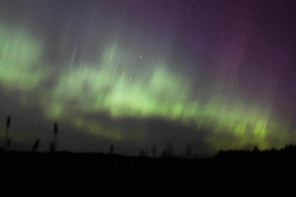 aurora of green and purple in the sky