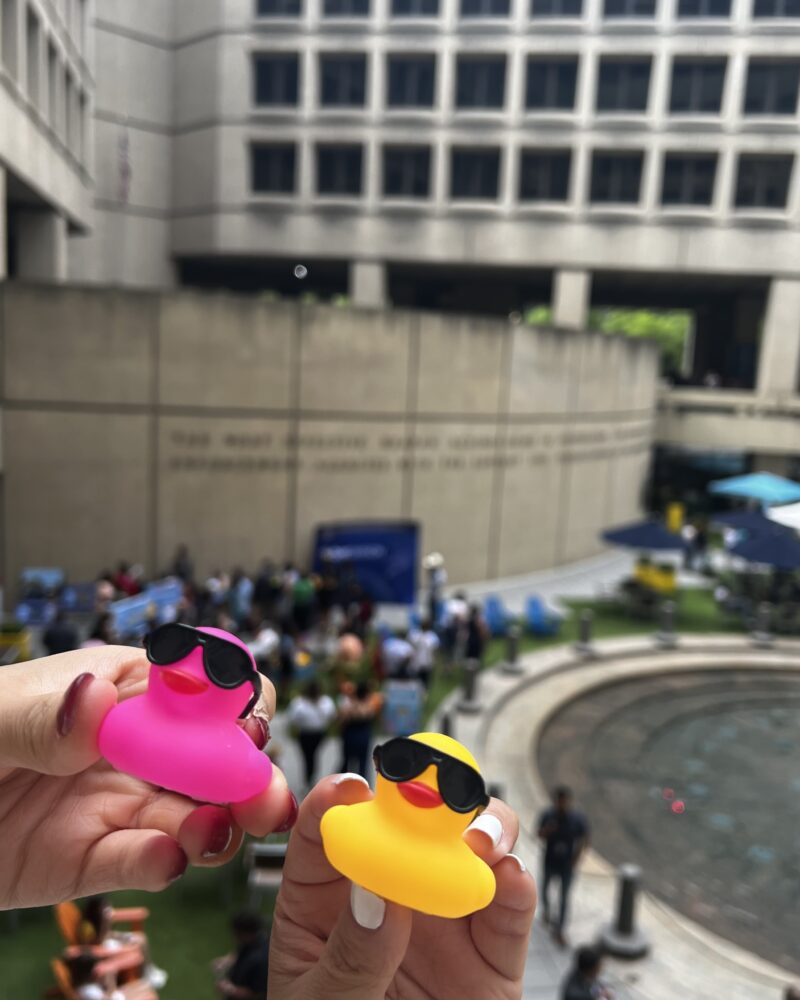 Blurred background is building with several windows and a circular fountain pool. From shows two hands, each holding a mini rubber duck with small black glasses.