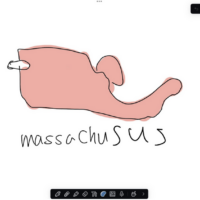 A bad drawing of Massachusetts, made on Notability. It is red and has the visor…