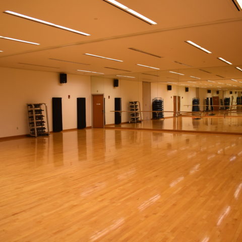 a picture of an empty dance room with mirrors and a glossy floor