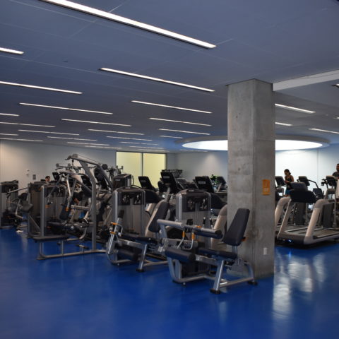 a picture of a large gym with blue floors and lots of cardio machines