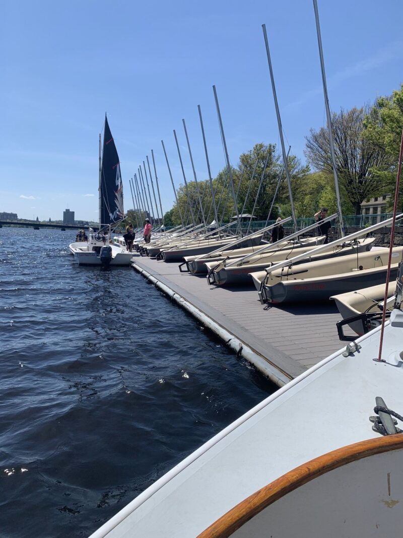 a bunch of MIT sailboats that have been docked