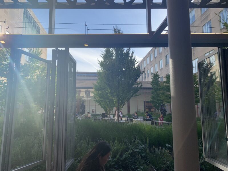 an open window looking into a courtyard with trees and shrubbery
