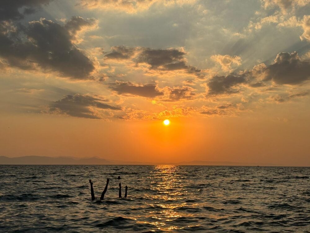 sea and family in sea