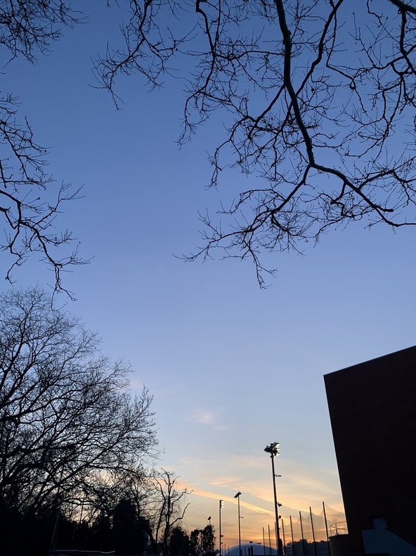 a sunset over Briggs field