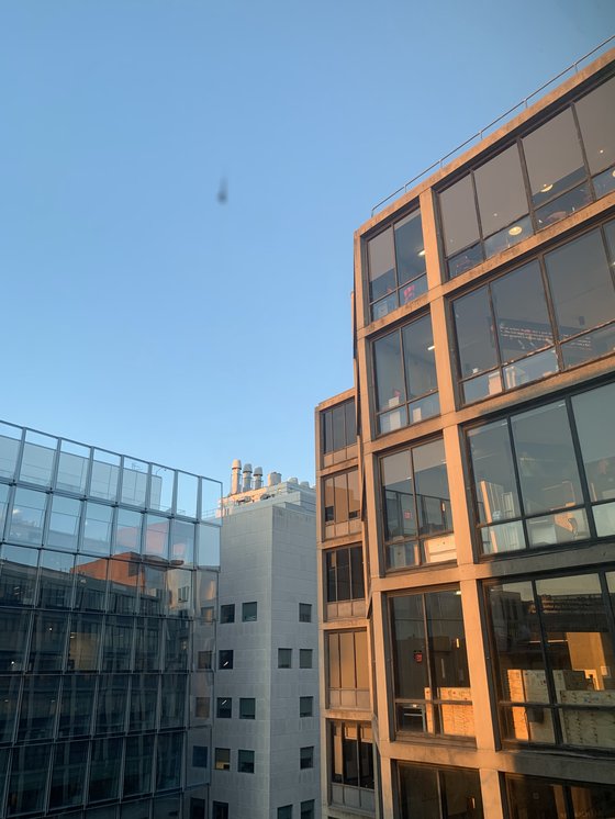 MIT Schwartzman College of Computing and building 34 in the glow of sunset