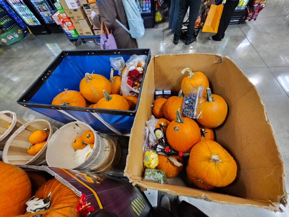 Many pumpkins in two large carts