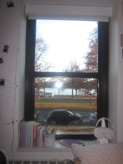 A window looking out onto the Charles River, with trees and a street in the foreground