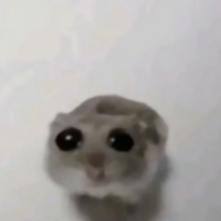 sad mouse