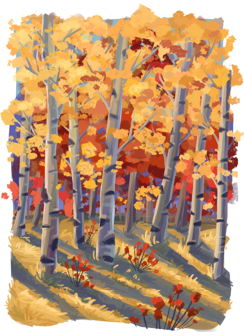 digital drawing of yellow aspen trees in fall