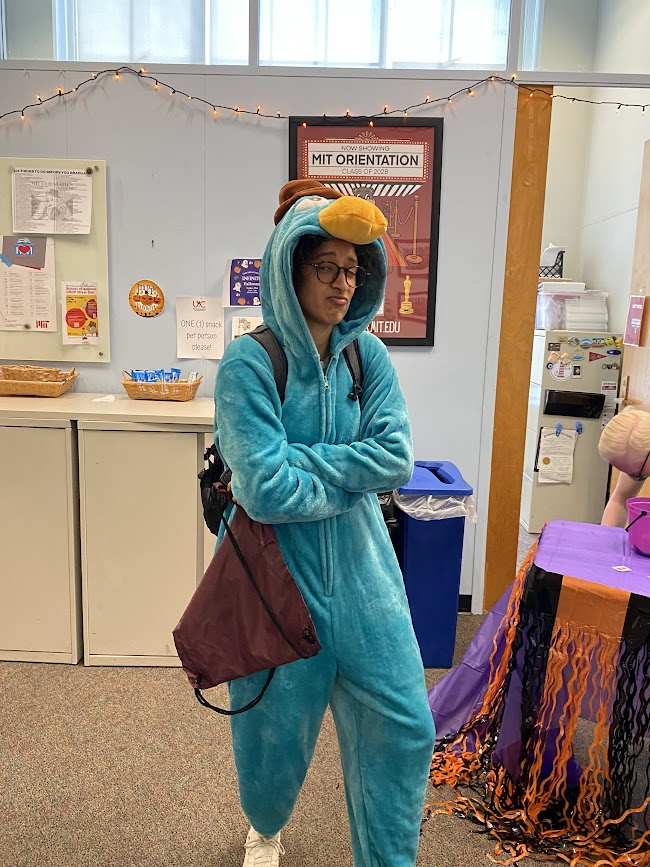 person dressed in perry the platypus onesie