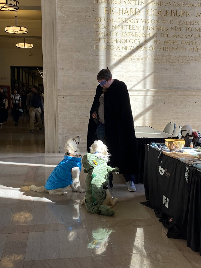 photo of a person and two dogs all dressed up with capes