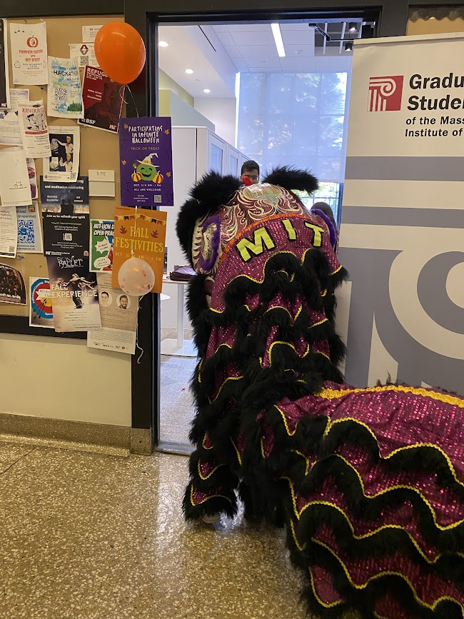 a lion (from lion dance) peeking into a doorway