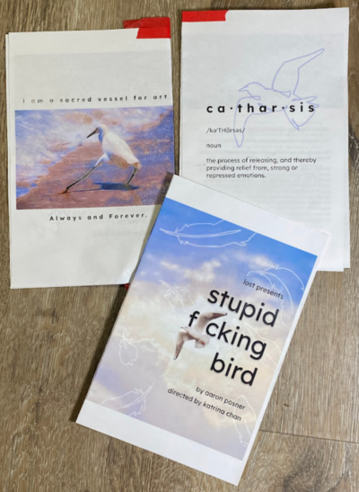 photo of programs for stupid fucking bird. there's seagulls and the words "i am a sacred vessel for art always and forever". the seagull looks sensual